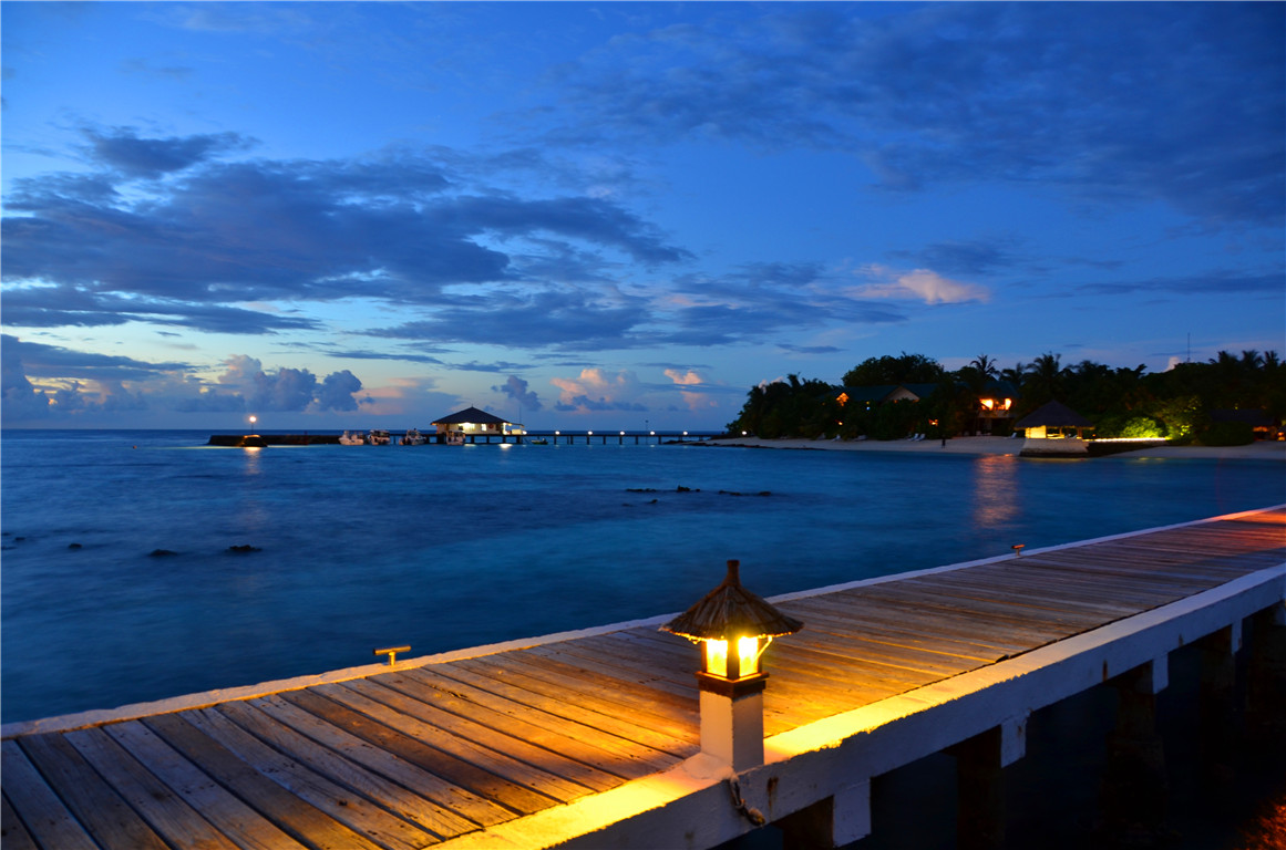 DSC_2431.jpg DSC_2431.jpg