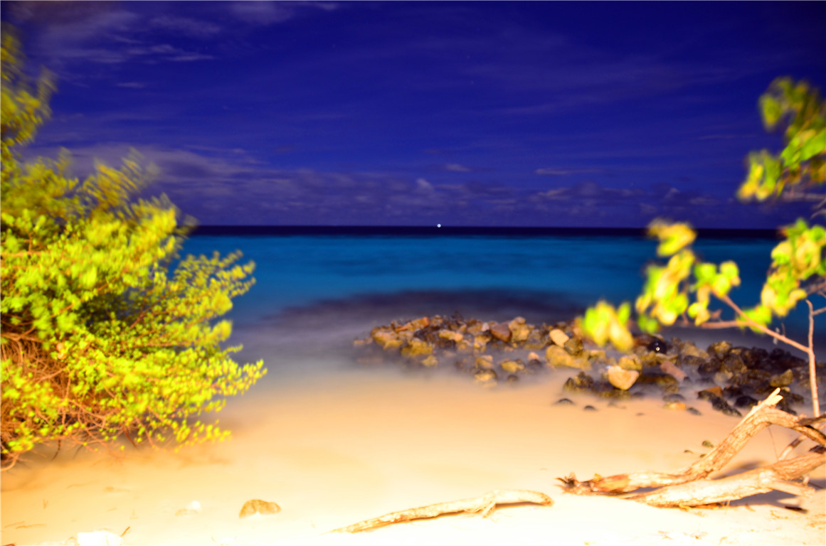 DSC_2468.jpg DSC_2468.jpg