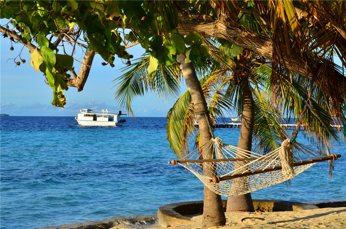 DSC_2473.jpg DSC_2473.jpg