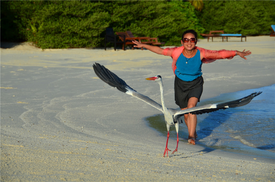 DSC_2497.jpg DSC_2497.jpg