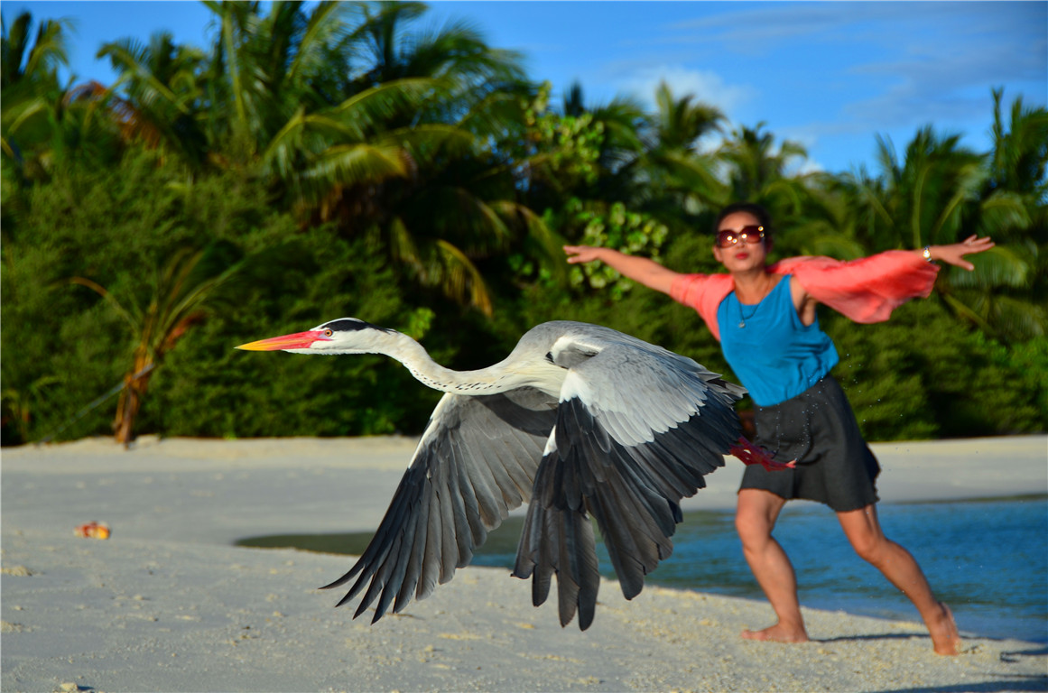 DSC_2508.jpg DSC_2508.jpg