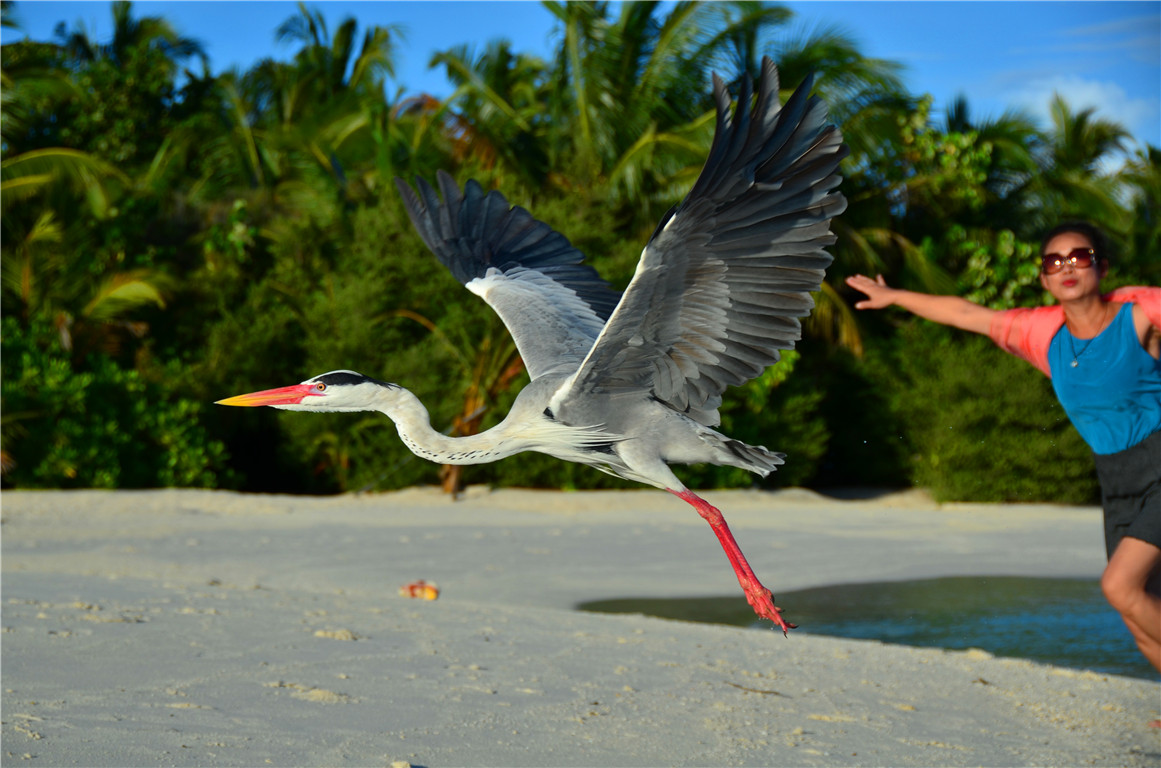 DSC_2509.jpg DSC_2509.jpg