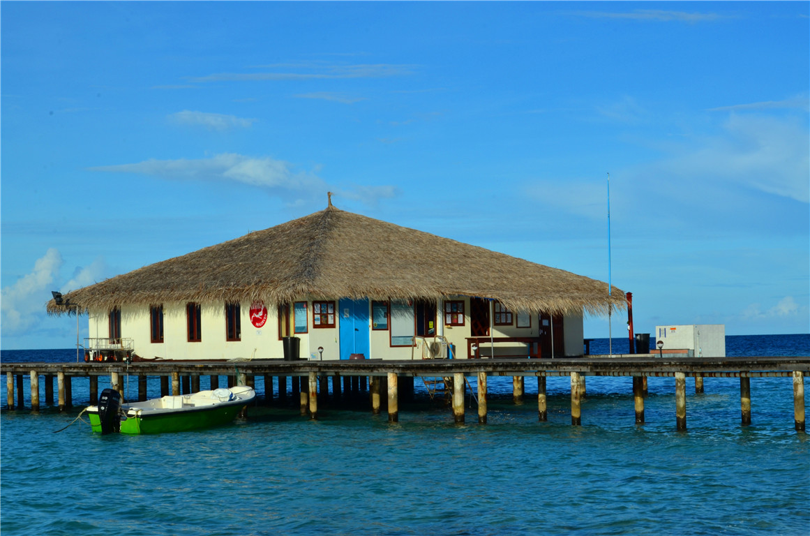 DSC_2513.jpg DSC_2513.jpg