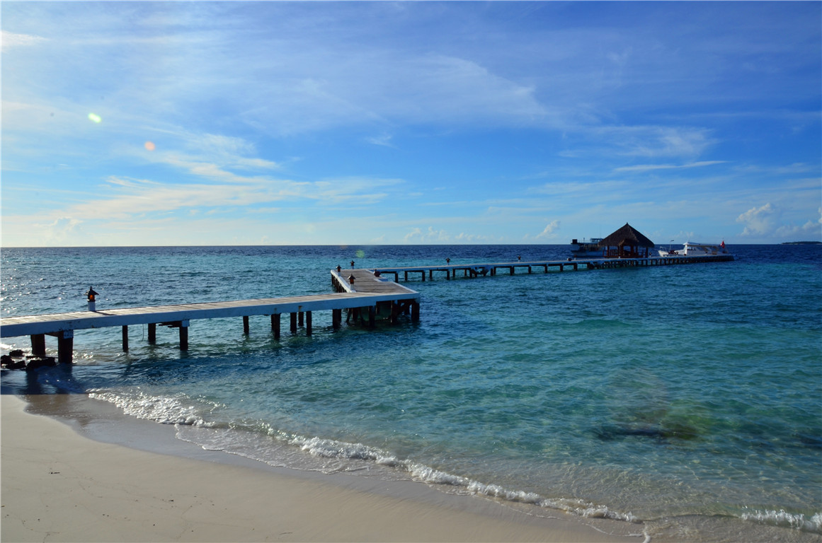 DSC_2536.jpg DSC_2536.jpg