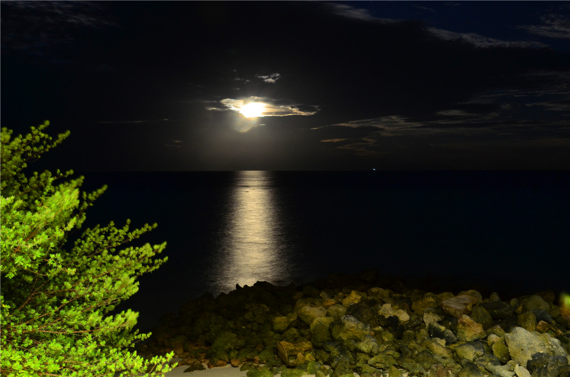 DSC_2556.jpg DSC_2556.jpg