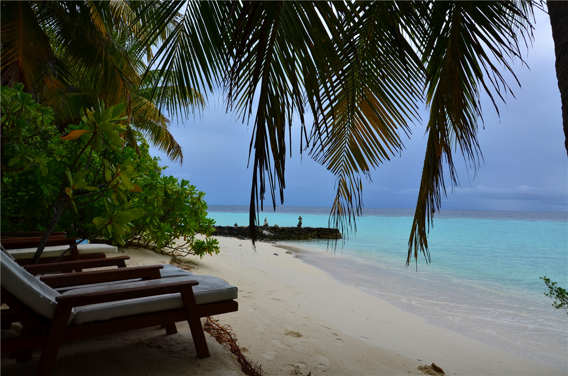 DSC_2662.jpg DSC_2662.jpg