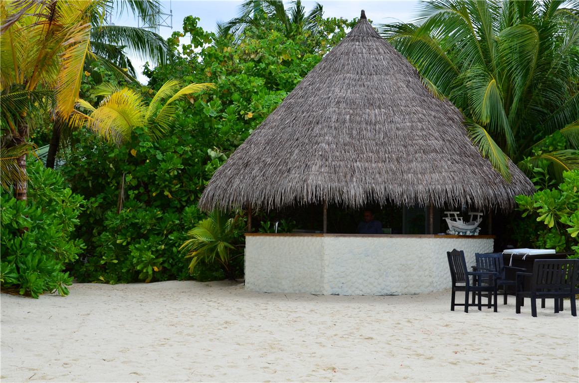 DSC_2719.jpg DSC_2719.jpg