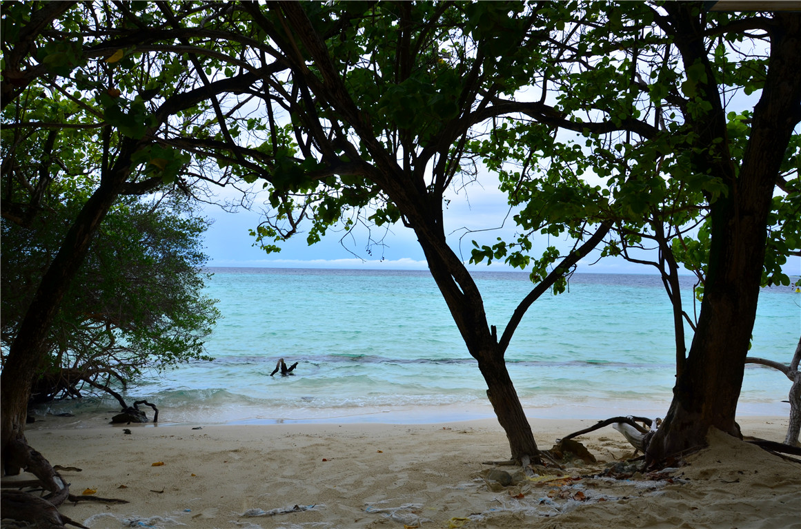 DSC_2807.jpg DSC_2807.jpg