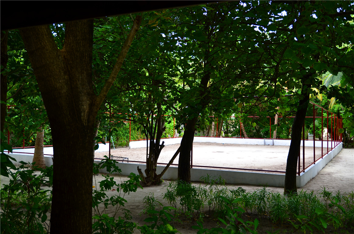 DSC_2922.jpg DSC_2922.jpg