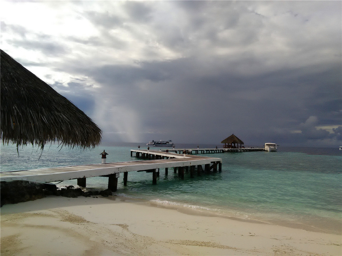 IMG_20151127_080132.jpg IMG_20151127_080132.jpg