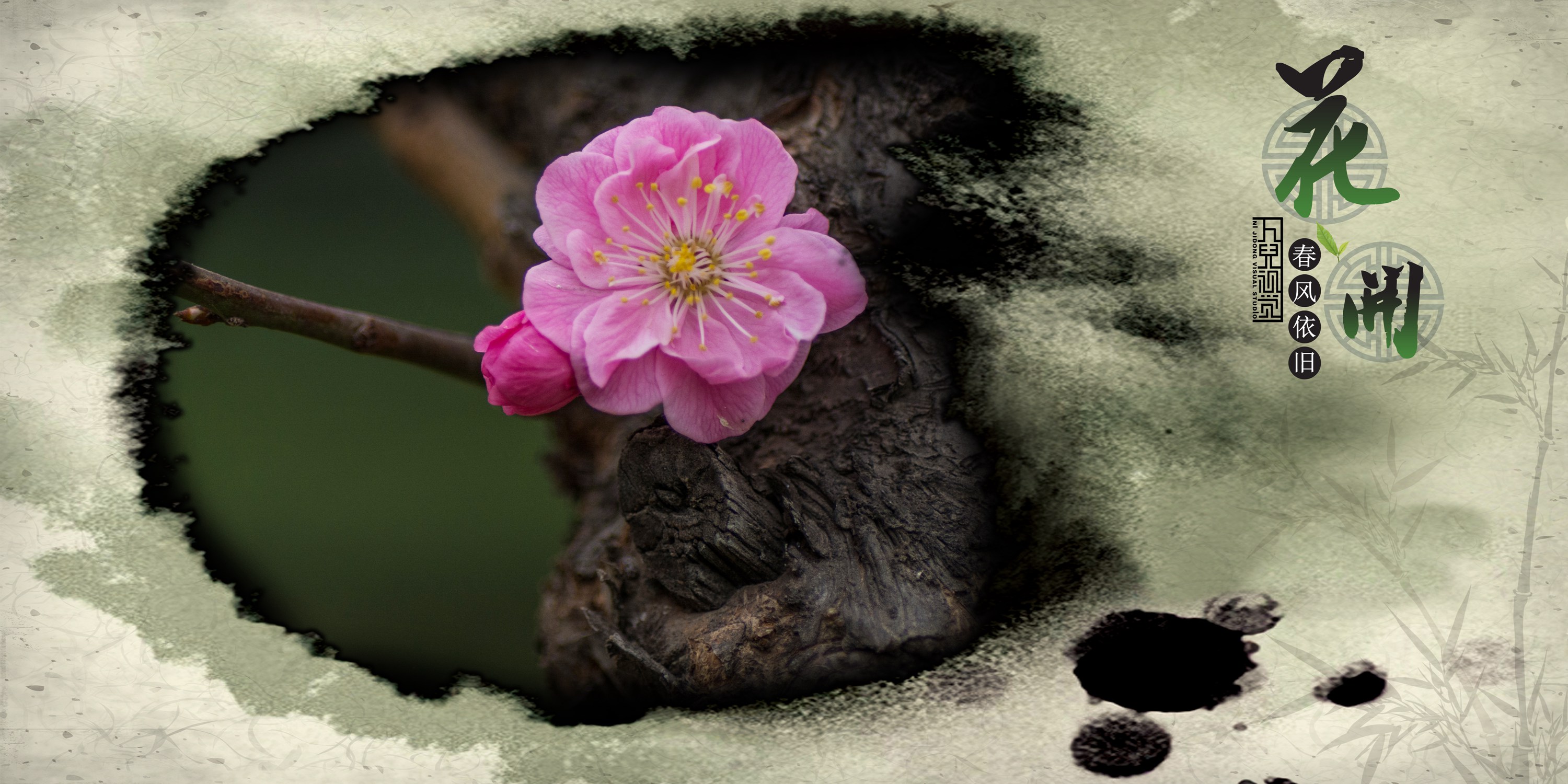 三月花开 (13).jpg