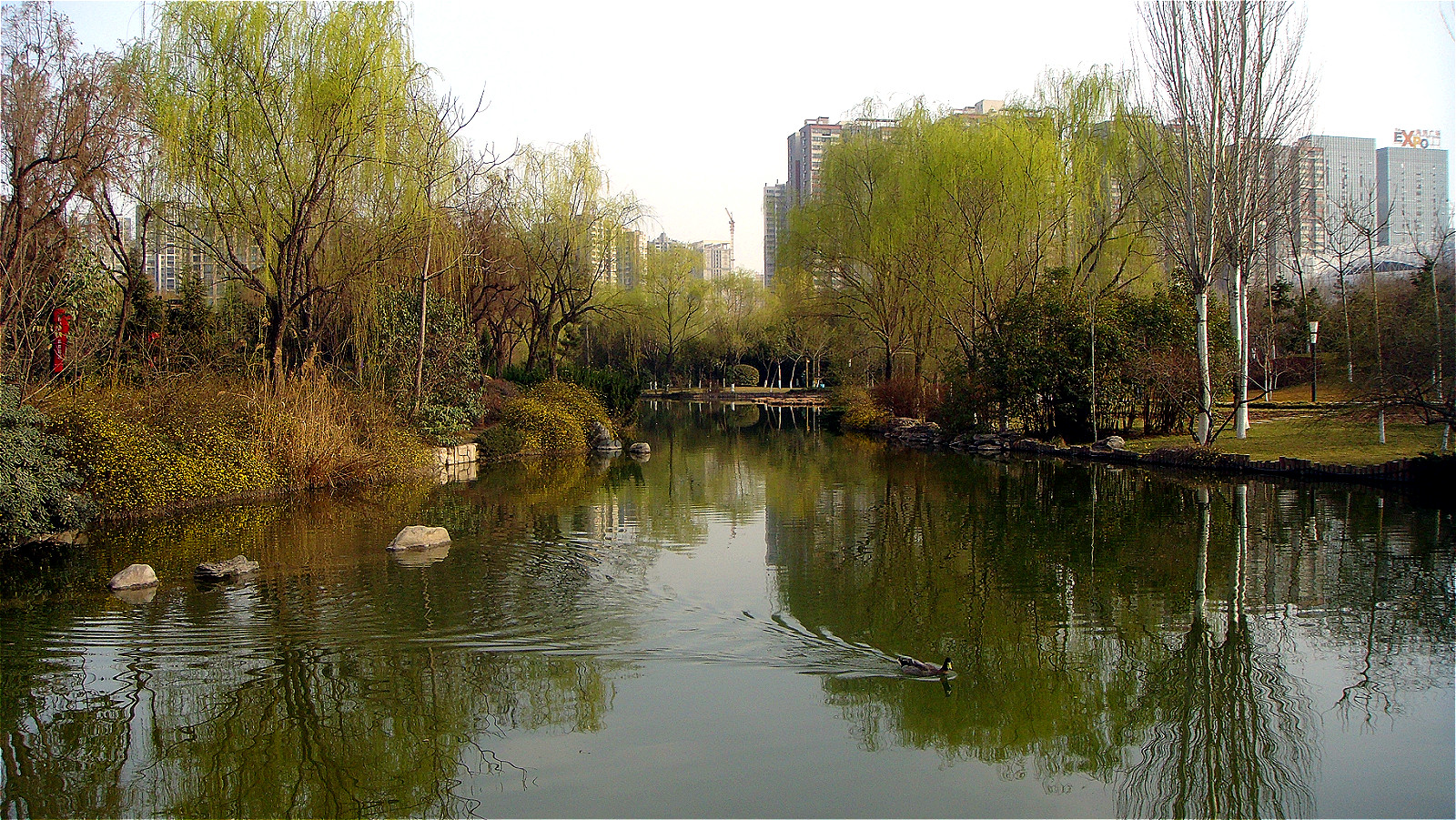 DSC07011_meitu_58.jpg