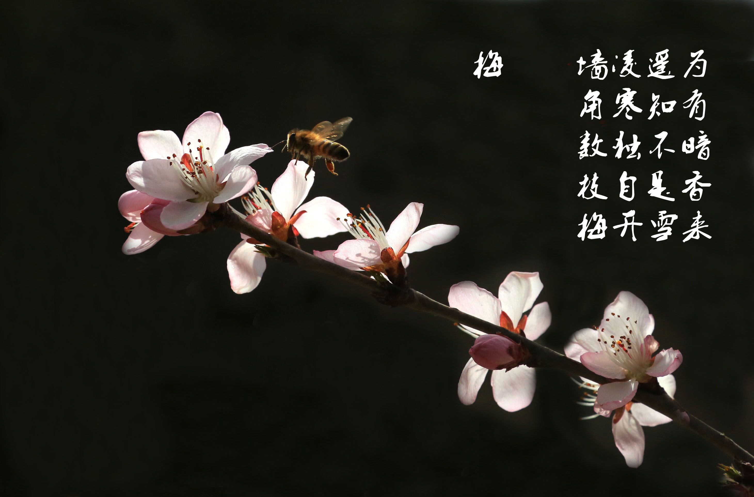 AD5A9734_副本.jpg