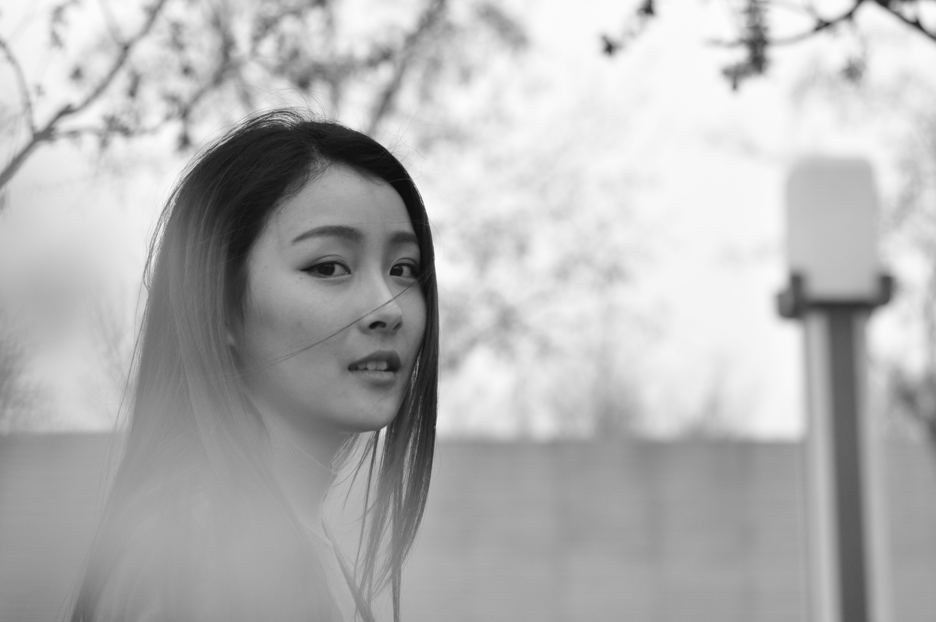 DSC_0705.JPG