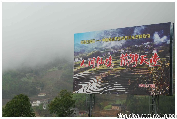 广告.jpg