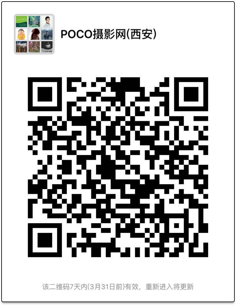 366036610496822325.jpg