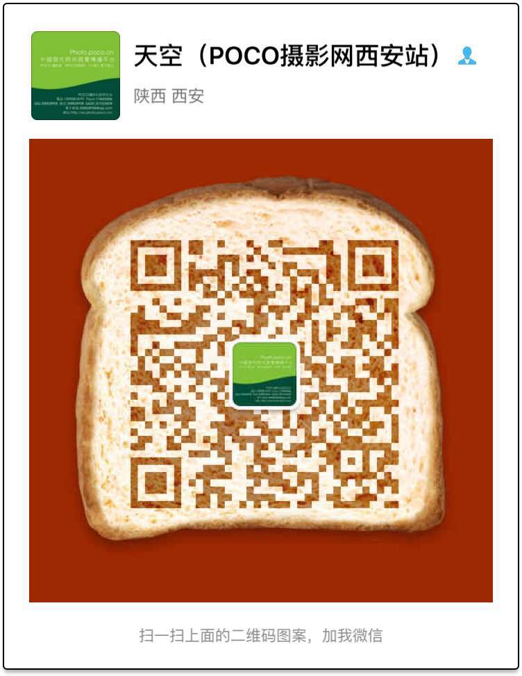 215296519482310394.jpg