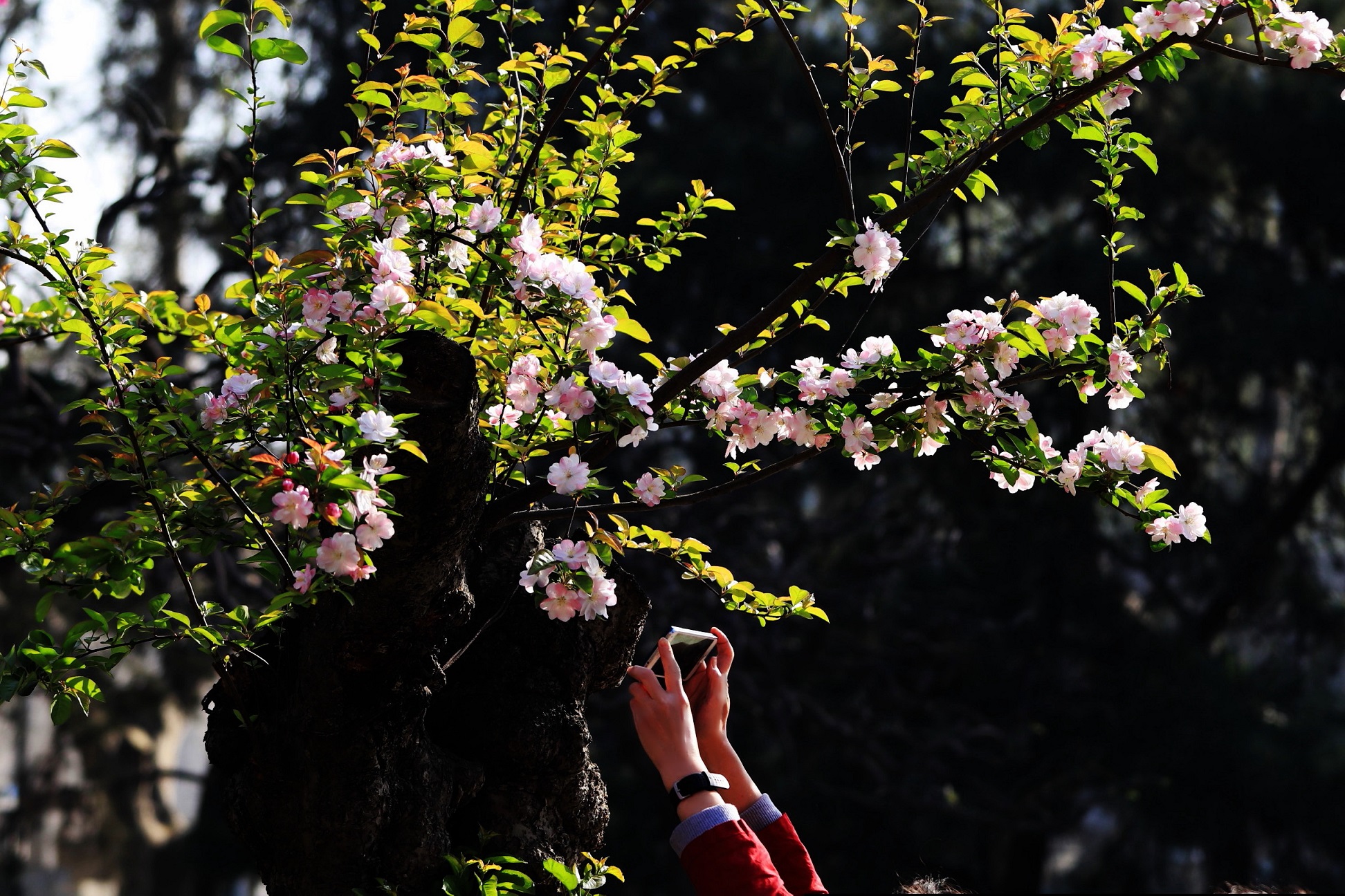 3B0A4598_副本.jpg