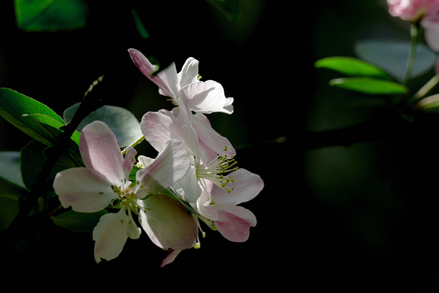 _9360066_副本  压.jpg