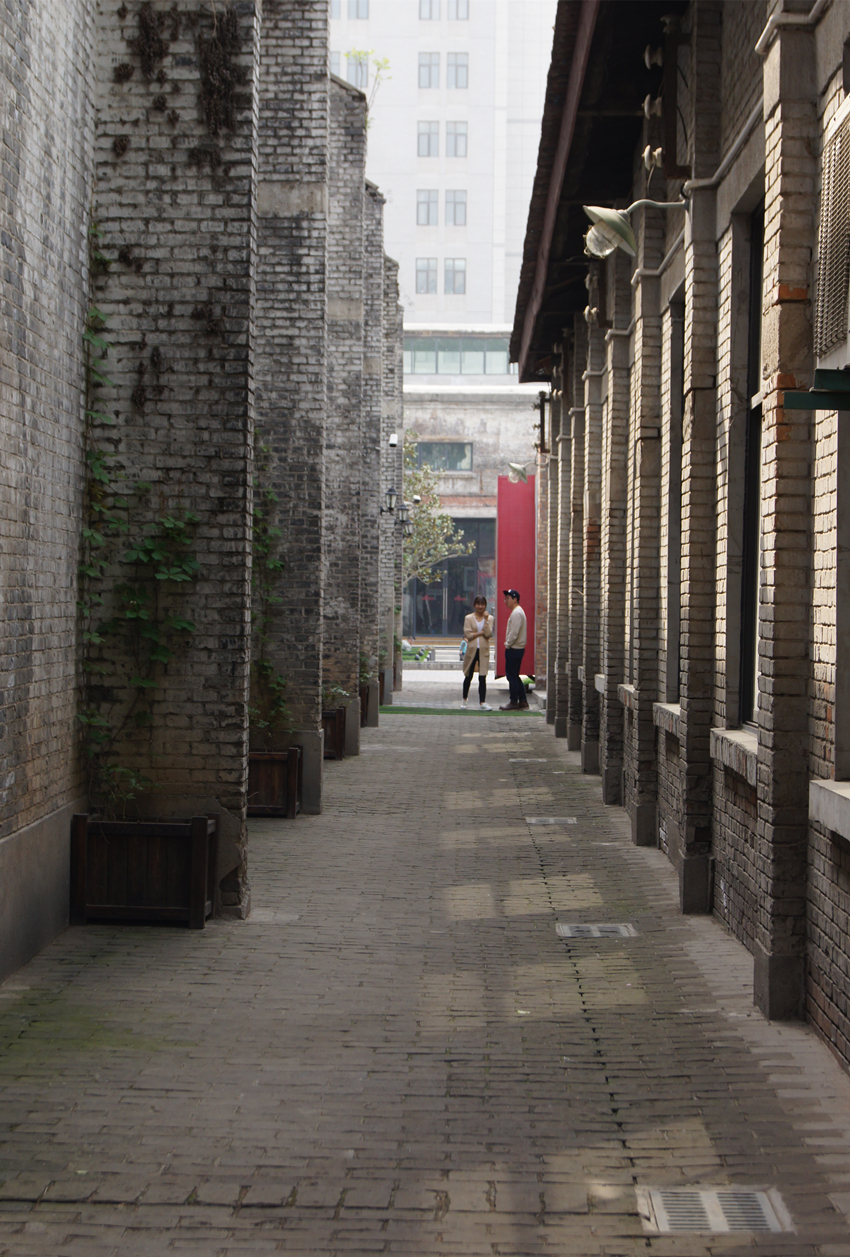 DSC08516_副本.jpg