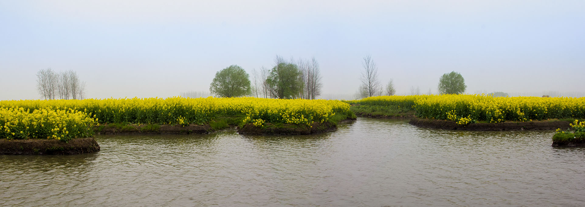 未标题_全景图8-1.jpg