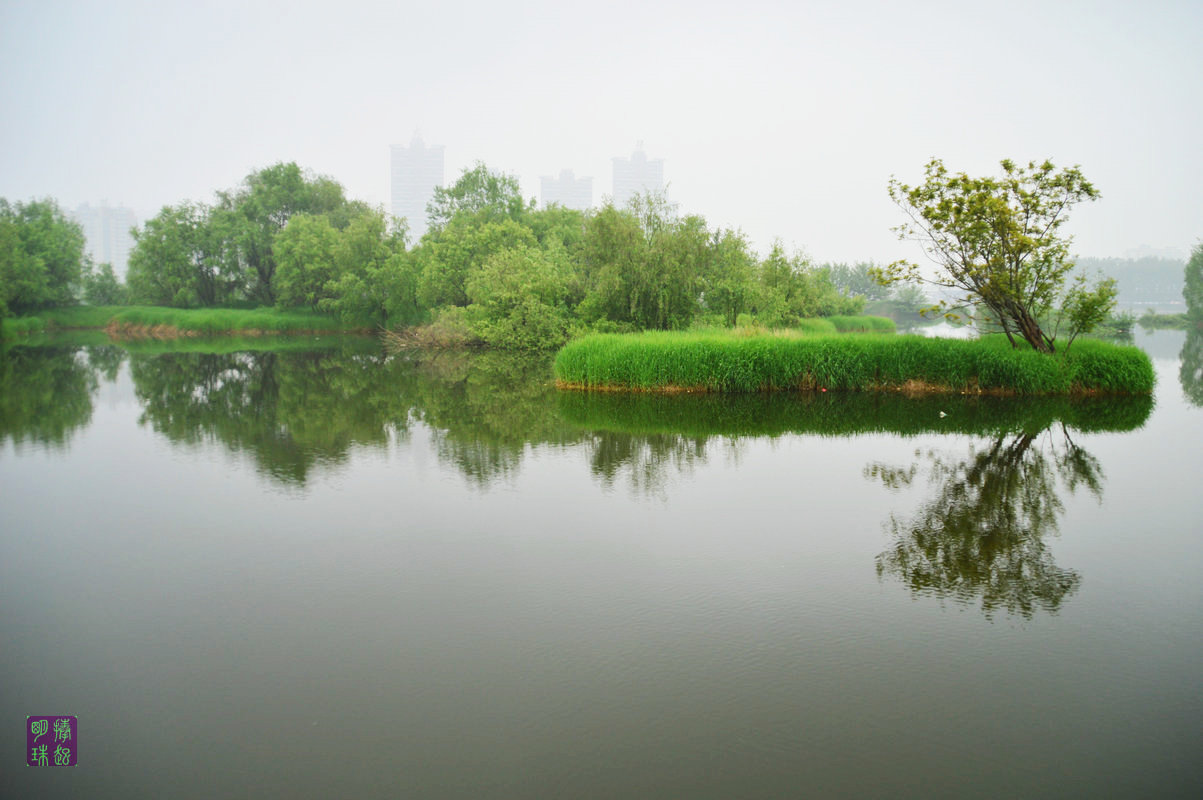 DSC_5978.JPG
