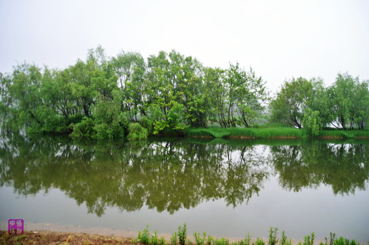 DSC_5989.JPG