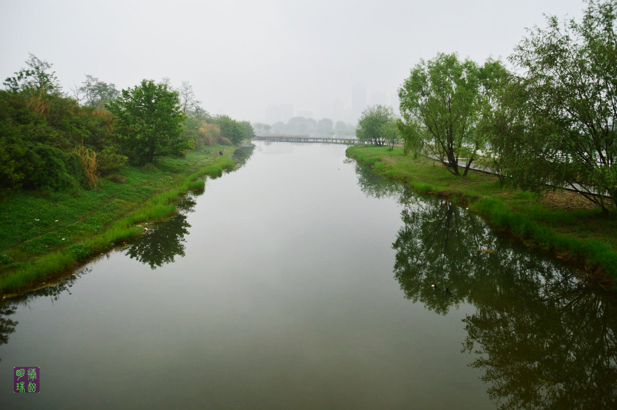 DSC_6012.JPG