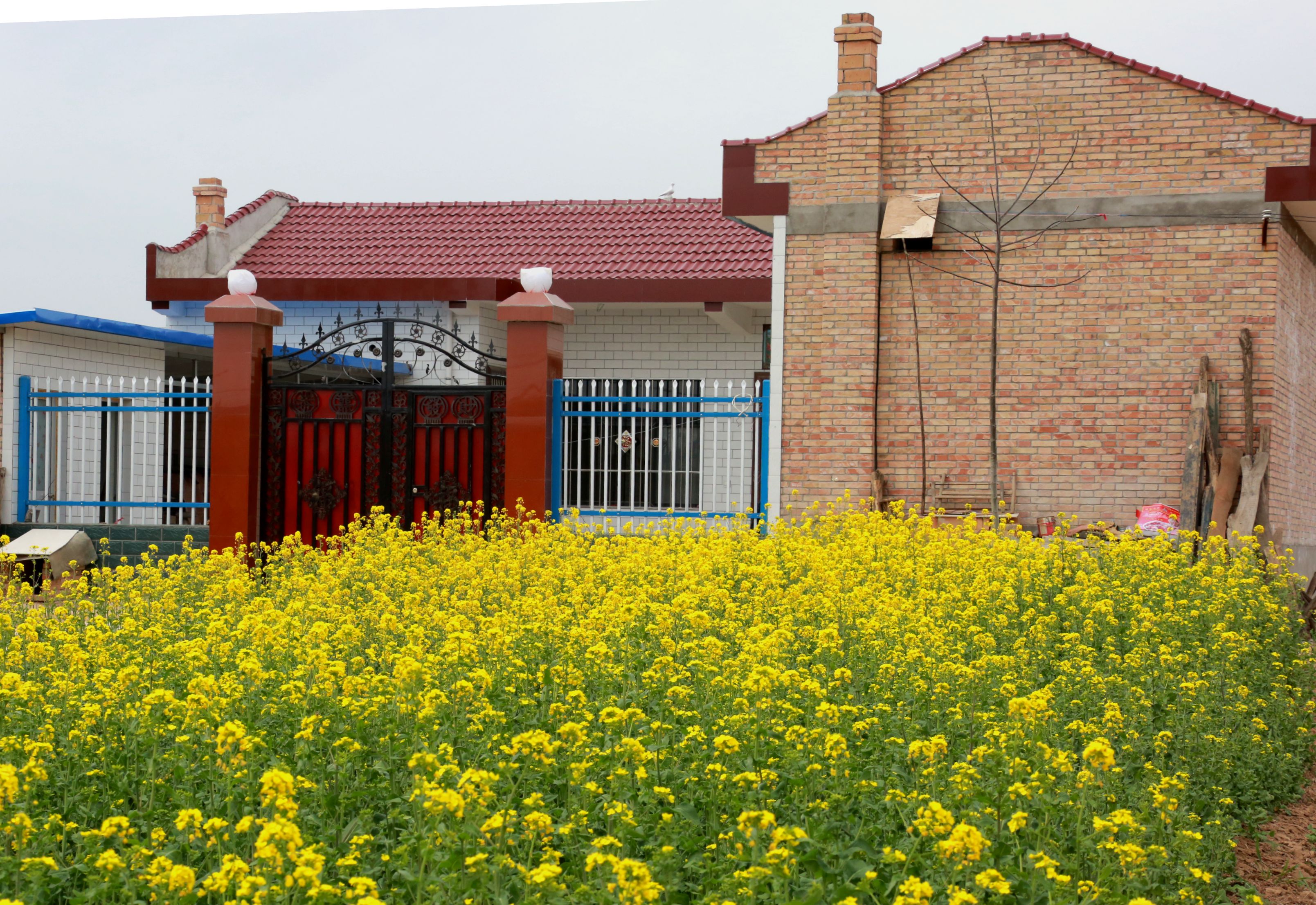 AD5A2075_副本.jpg