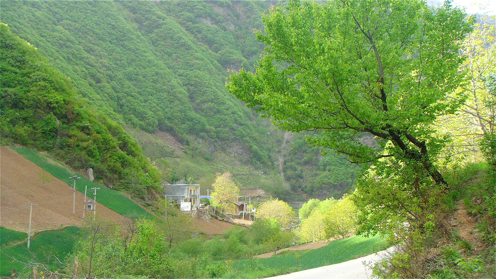DSC00343_meitu_94.jpg