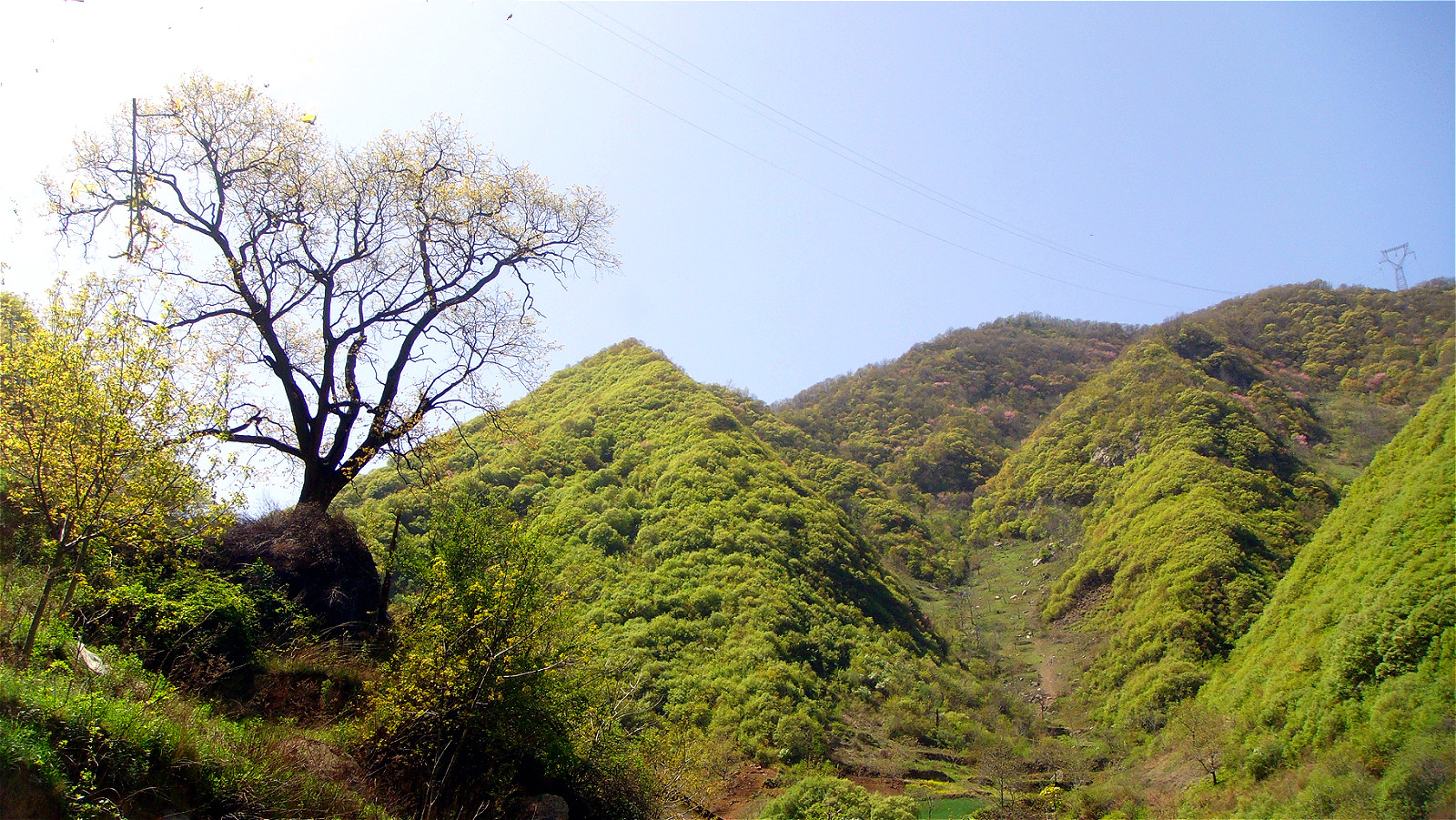 DSC00320_meitu_116.jpg