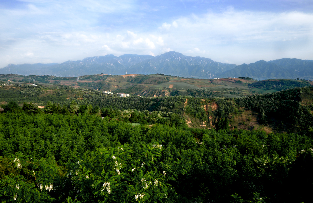 l11.jpg