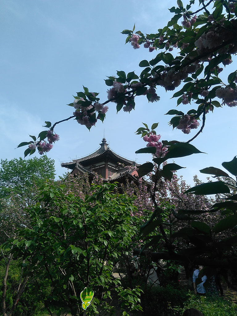 IMG_20160410_160025副本.jpg