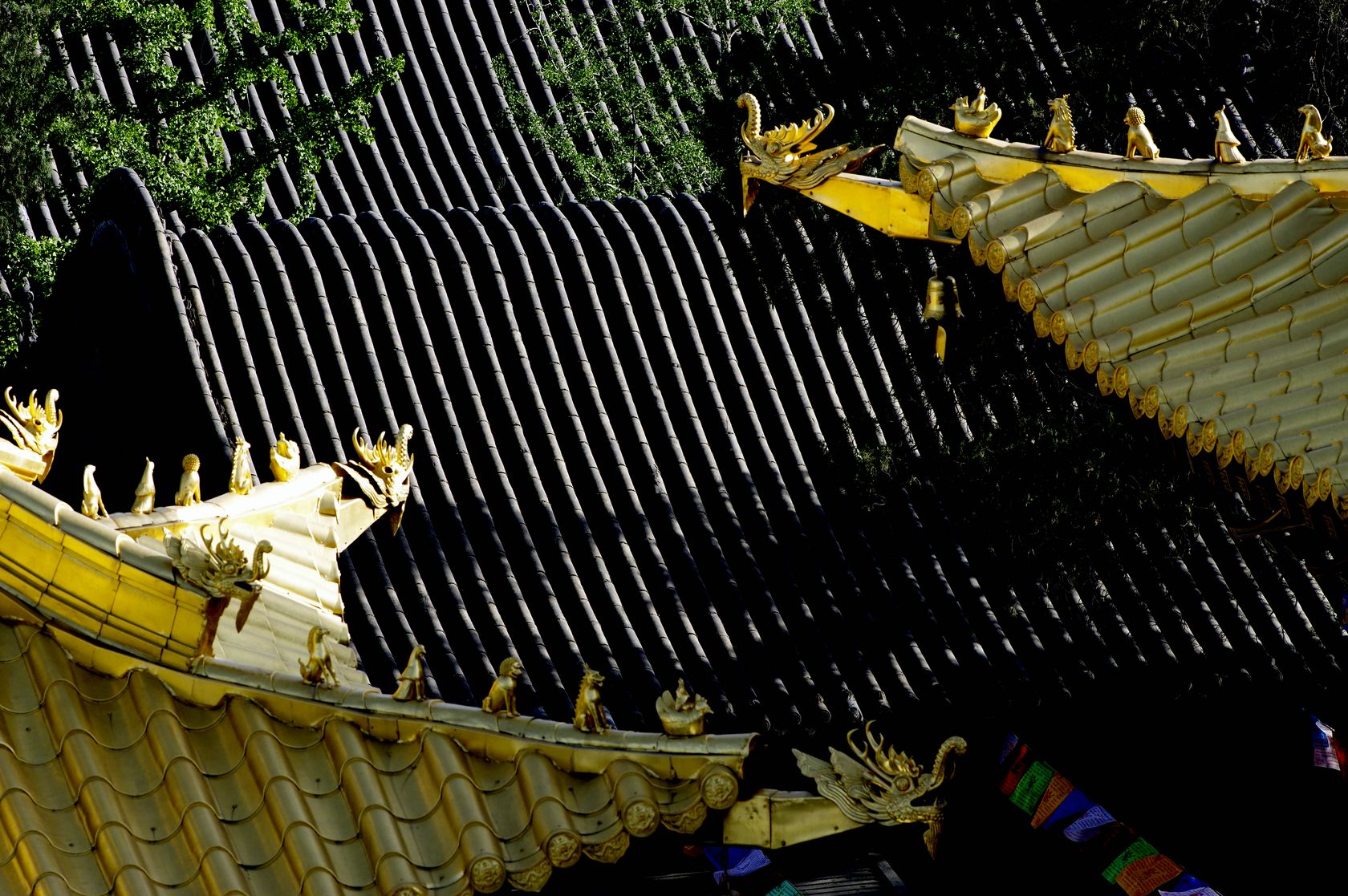 _IMG7493 [桌面分辨率        ].JPG