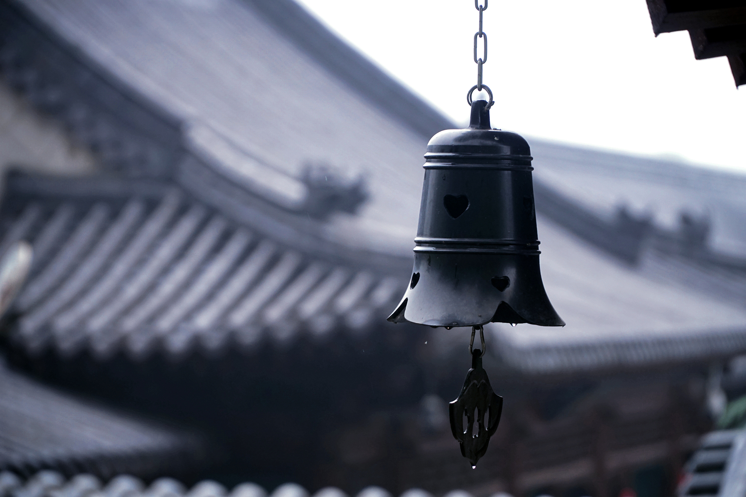 DSC08628_副本_副本.jpg