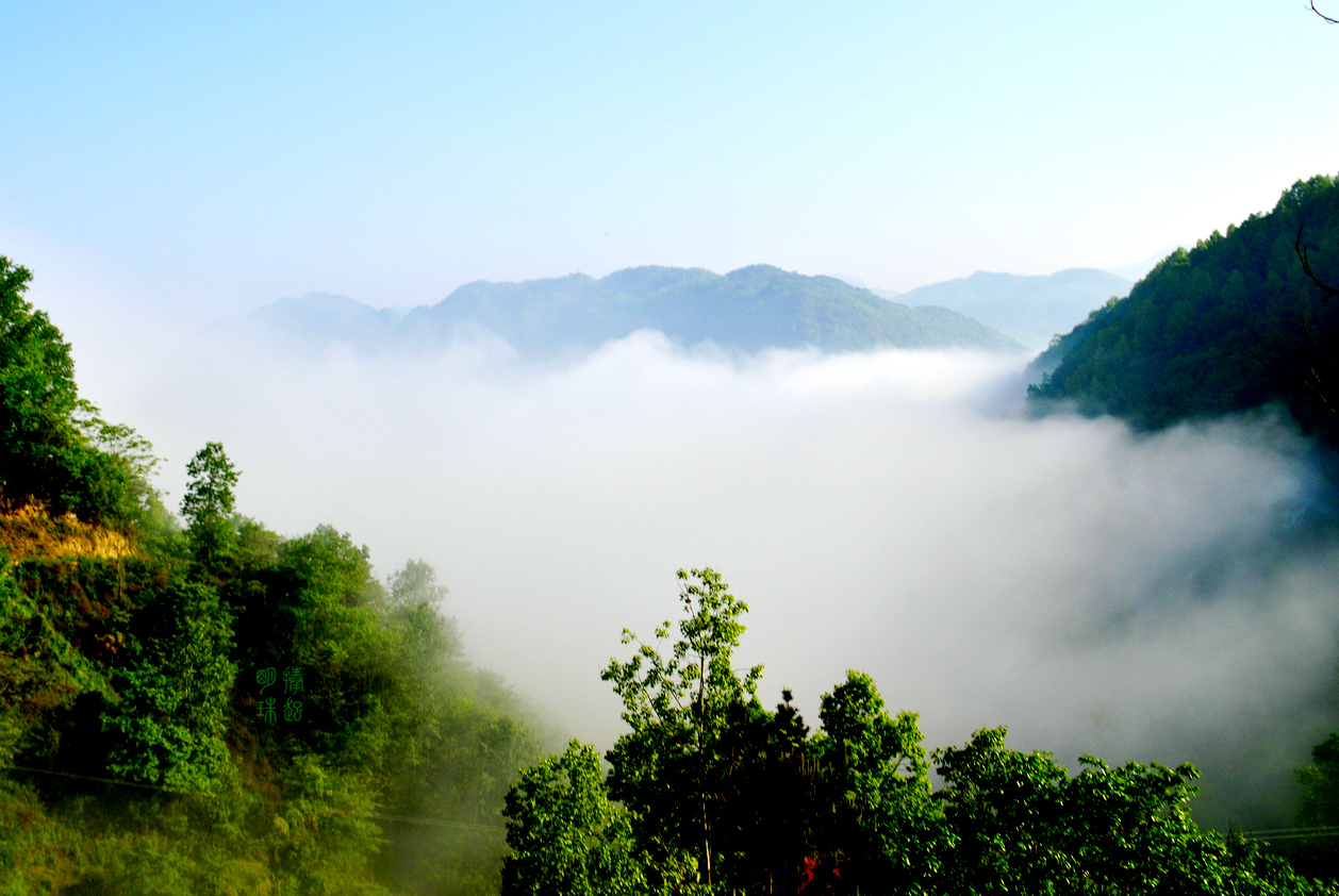 DSC_6728_副本.JPG