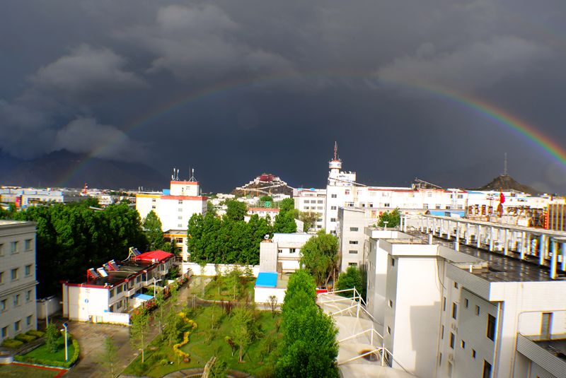 L1009577.JPG