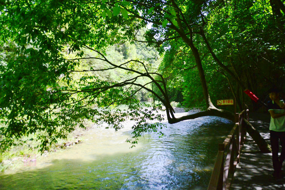 DSC_8563.JPG