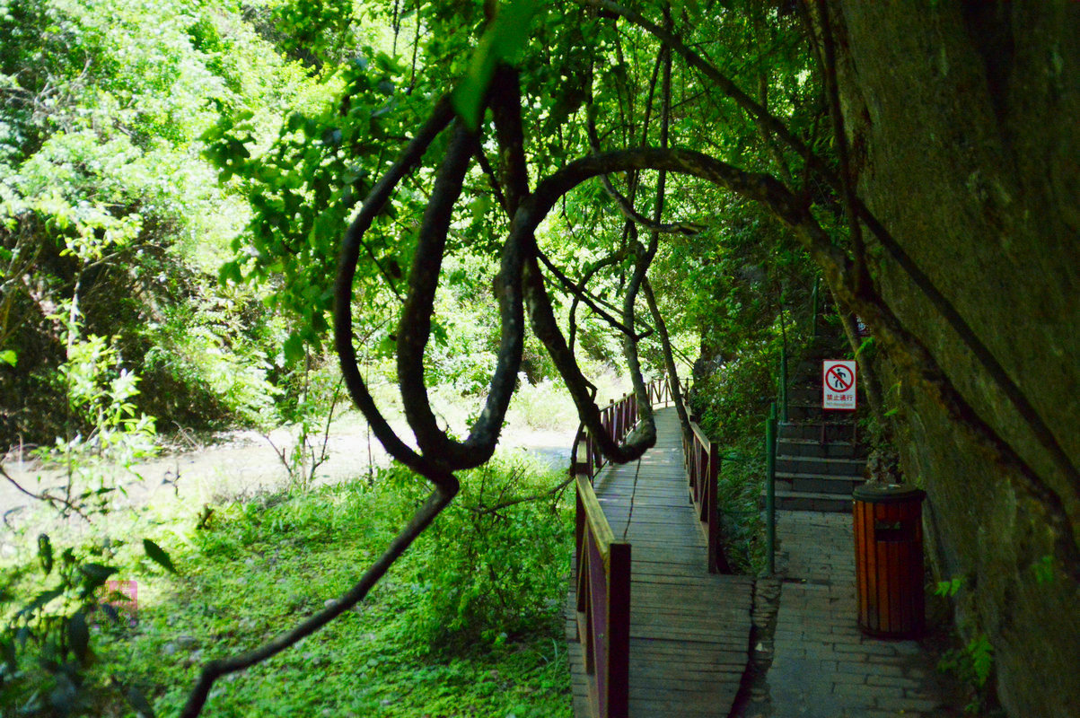 DSC_8717.JPG