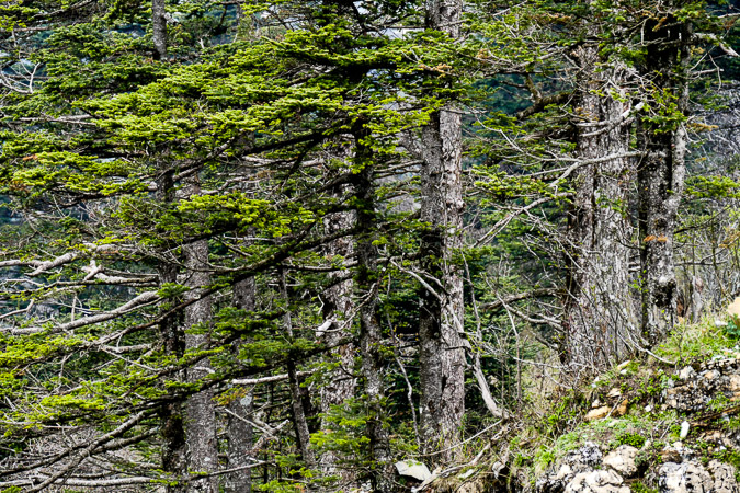 L1260748.jpg