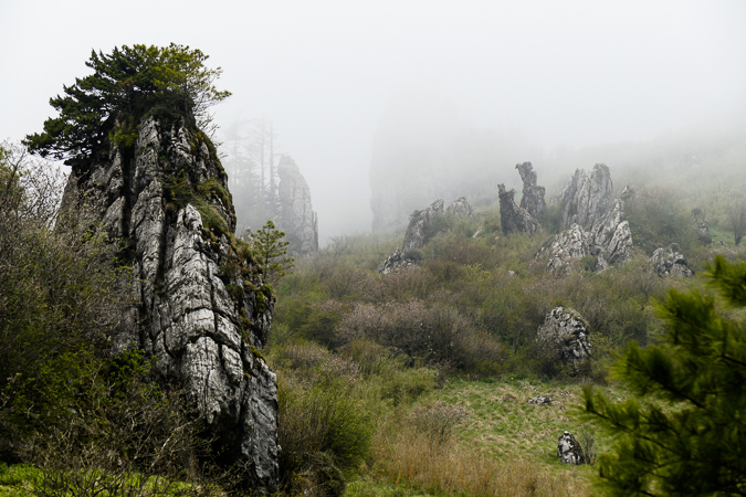 L1260871.jpg
