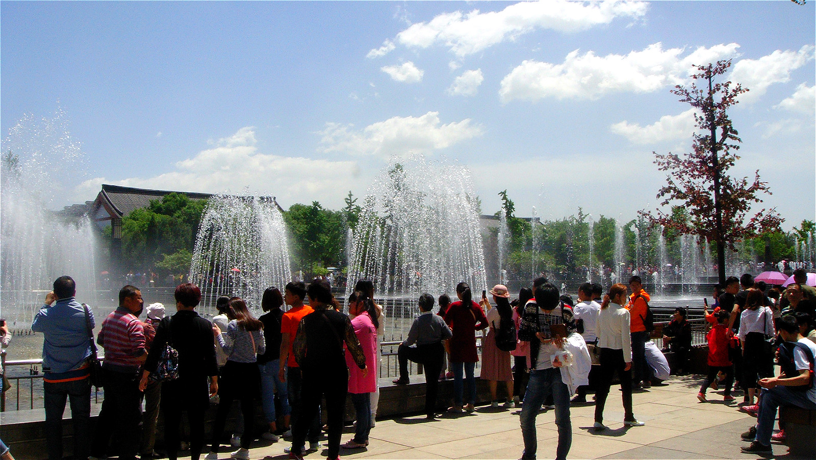 DSC02261_meitu_59.jpg