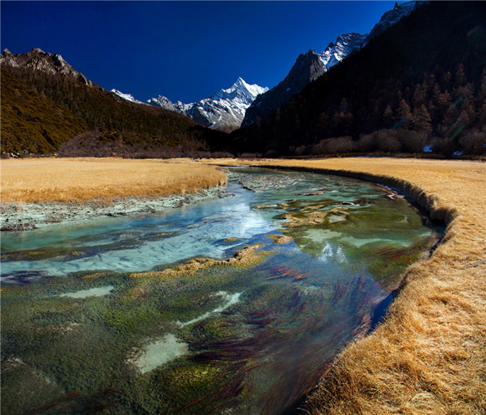 ae789327eb7bb9cddca018f2f3713b68.jpg ae789327eb7bb9cddca018f2f3713b68.jpg