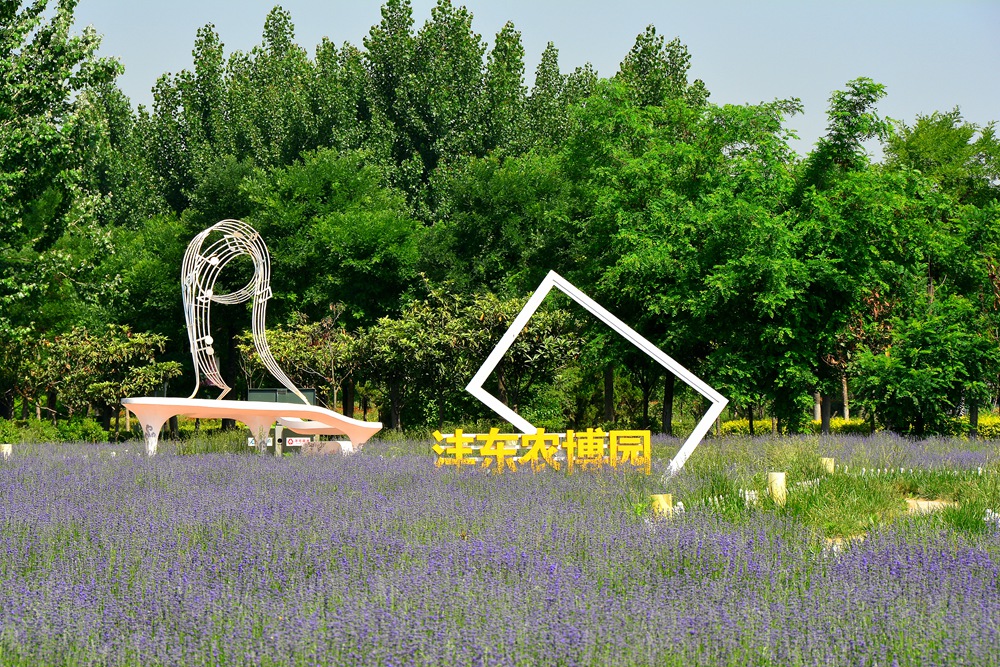 薰衣草花香 (24).jpg