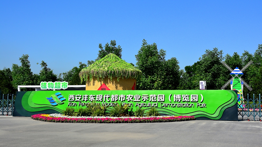 西安沣东农博园 (1).jpg