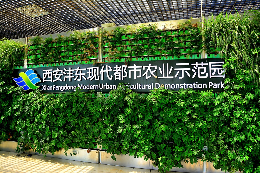 西安沣东农博园 (9).jpg