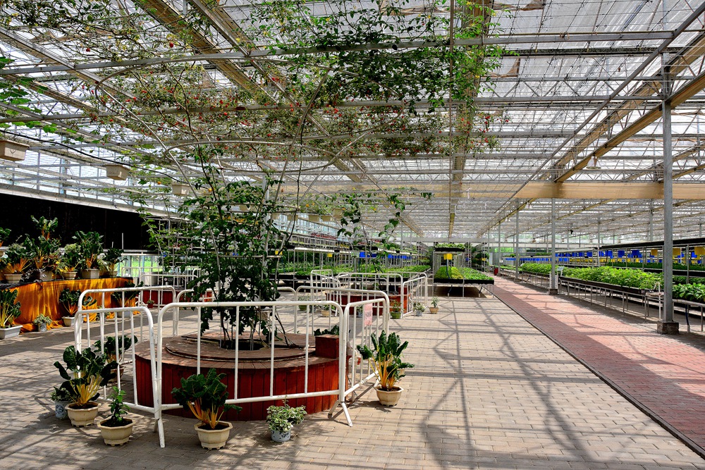 西安沣东农博园 (18).jpg