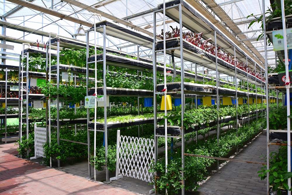 西安沣东农博园 (33).jpg