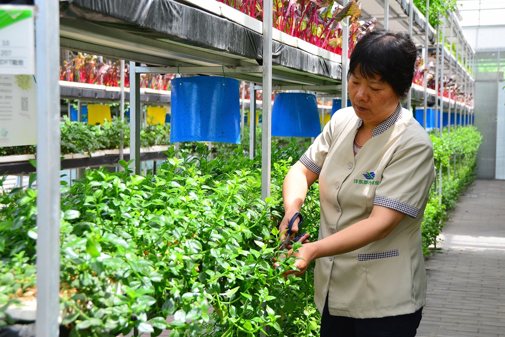 西安沣东农博园 (36).jpg