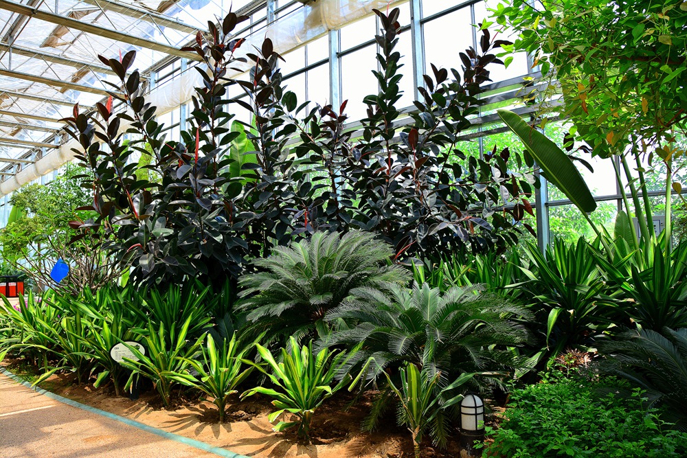 西安沣东农博园 (44).jpg